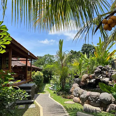 Virani Villa